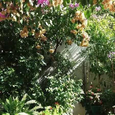 Apartment Lovely Almissa