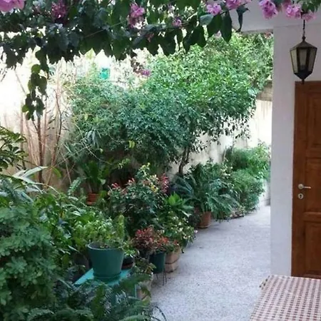 Lovely Almissa Omis