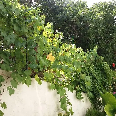 Apartment Lovely Almissa Omis